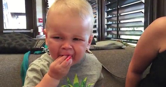 فيديو طريف.. طفل يمتعض من طعم التوت البري ويعيد الكرّة صورة رقم 1