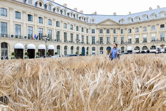  شانيل تزرع حقلا بالقمح وسط عاصمة الموضة باريس.. صور صورة رقم 4