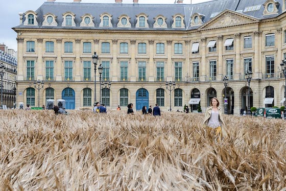  شانيل تزرع حقلا بالقمح وسط عاصمة الموضة باريس.. صور صورة رقم 10