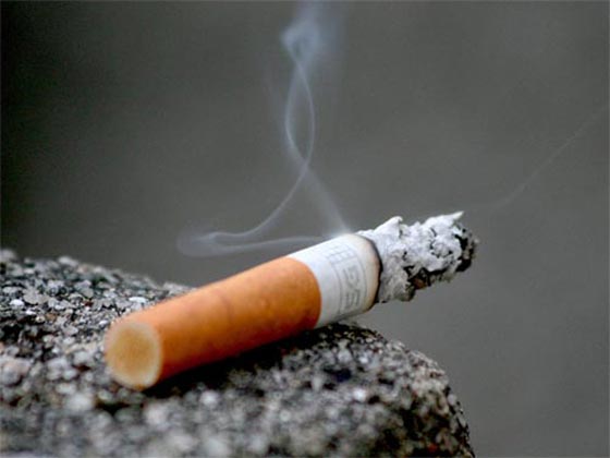 السيجارة الواحدة تحتوي 7000 مادة 93 منها سامة جدا صورة رقم 2