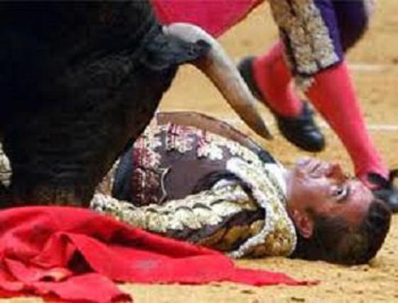 مصارعة الثيران رياضة ملطخة بالدماء: ضحاياها آلاف القتلى!  صورة رقم 4
