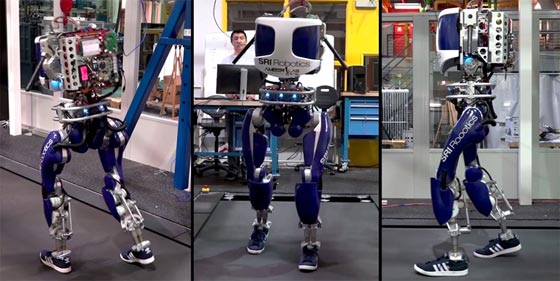 شاهد بالفيديو.. روبوت جديد يجري لمسافات كالانسان صورة رقم 1