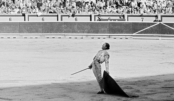 مصارعة الثيران كما وثقتها الكاميرا في ستينيات القرن الماضي صورة رقم 7