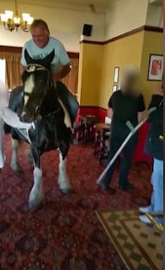 ماذا يفعل هذا الحصان داخل مطعم ولماذا اثار راكبه العجوز الضحك؟ صورة رقم 2