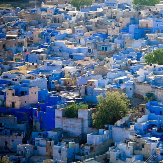 المدينة الزرقاء.. اعجوبة وسط صحراء الهند! فيديو وصور صورة رقم 5