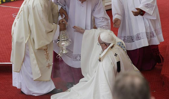 فيديو وصور.. البابا فرنسيس يتعثر ويسقط ارضا خلال قداس صورة رقم 4