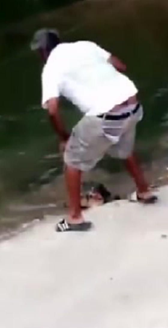 فيديو مروع.. صياد يقتل سلحفاة بمطرقة ويدعي الدفاع عن النفس! صورة رقم 2