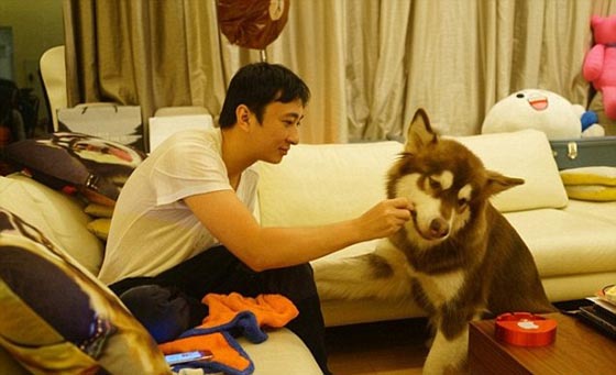 صور غريبة: 8 اجهزة آيفون 7 هدية الكلب كوكو من ابن اغني رجل في الصين صورة رقم 10
