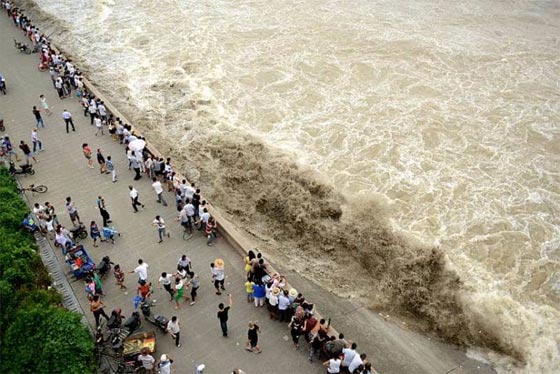 صور مذهلة لظاهرة التنين الفضي على ضفة نهر في الصين صورة رقم 2