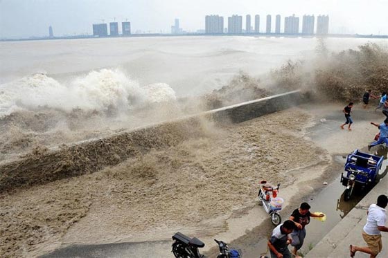 صور مذهلة لظاهرة التنين الفضي على ضفة نهر في الصين صورة رقم 10