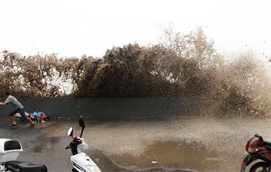 صور مذهلة لظاهرة التنين الفضي على ضفة نهر في الصين صورة رقم 11