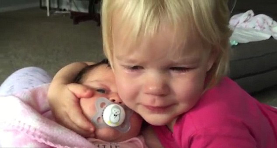 فيديو طريف.. طفلة لا تتوقف عن البكاء بسبب حبها لشقيقتها الرضيعة صورة رقم 4