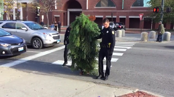 اعتقال شجرة متحركة وهي تعبر الشارع وتراقب رد فعل السائقين! فيديو صورة رقم 3