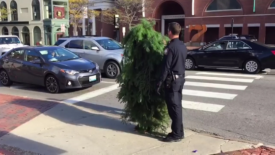 اعتقال شجرة متحركة وهي تعبر الشارع وتراقب رد فعل السائقين! فيديو صورة رقم 4