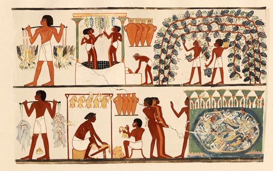 ما اصل الملابس الداخلية وهل كانت المصرية الفرعونية او من ارتدتها؟ صورة رقم 6