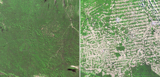 لقطات مثيرة: كوكب الأرض يتغير بشكل جذري حسب صور ناسا صورة رقم 7