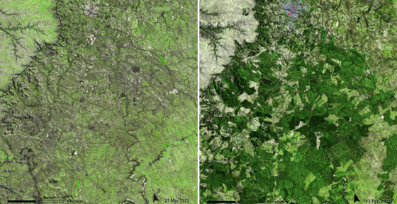 لقطات مثيرة: كوكب الأرض يتغير بشكل جذري حسب صور ناسا صورة رقم 16