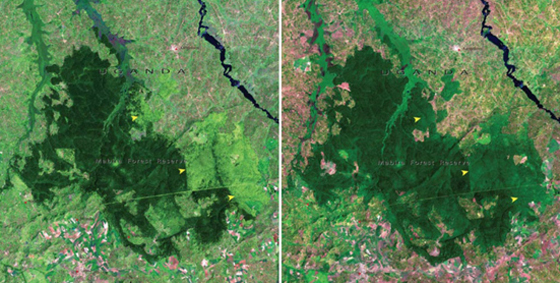 لقطات مثيرة: كوكب الأرض يتغير بشكل جذري حسب صور ناسا صورة رقم 11