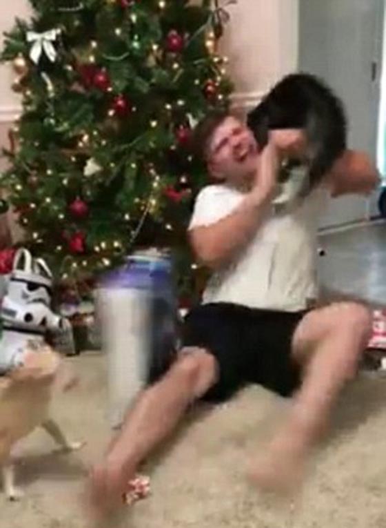 فيديو وصور.. القطة الغيورة تهاجم شابا لدى تلقيه هدية الميلاد وتهشمه! صورة رقم 4