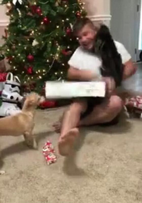 فيديو وصور.. القطة الغيورة تهاجم شابا لدى تلقيه هدية الميلاد وتهشمه! صورة رقم 8