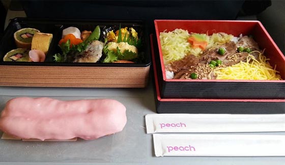 مدمن سفر يرشد المسافرين الى افضل وجبات خطوط الطيران صورة رقم 1