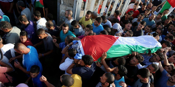 هل هي شرارة انتفاضة؟.. مواجهة عنيفة بين الاحتلال وشبان فلسطينيين صورة رقم 4