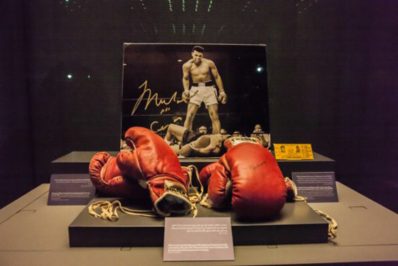 تحية إلى أسطورة.. معرض يخلد ذكرى الملاكم العالمي محمد علي بالدوحة صورة رقم 6