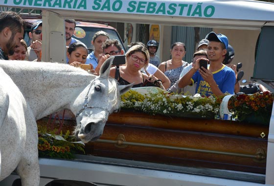 صور مؤثرة.. حصان وفيّ يبكي فوق نعش صاحبه ويُشيعه إلى القبر صورة رقم 2