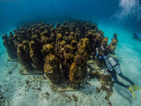 بالفيديو والصور.. افتتاح أول متحف تماثيل تحت الماء في أوروبا صورة رقم 11
