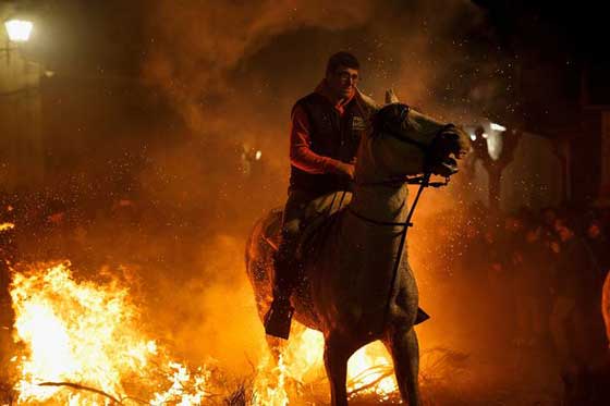صور وفيديو مهرجان اقتحام النار بالخيول في اسبانيا صورة رقم 13