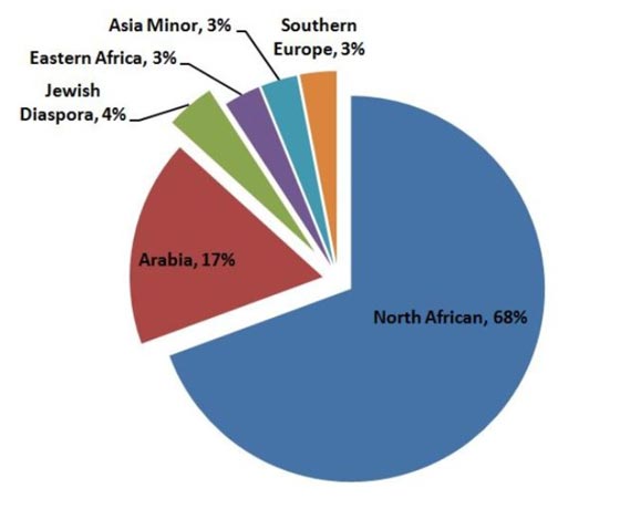تحليل الحمض النووي يثبت أنّ العرب ليسوا عرباً صورة رقم 2
