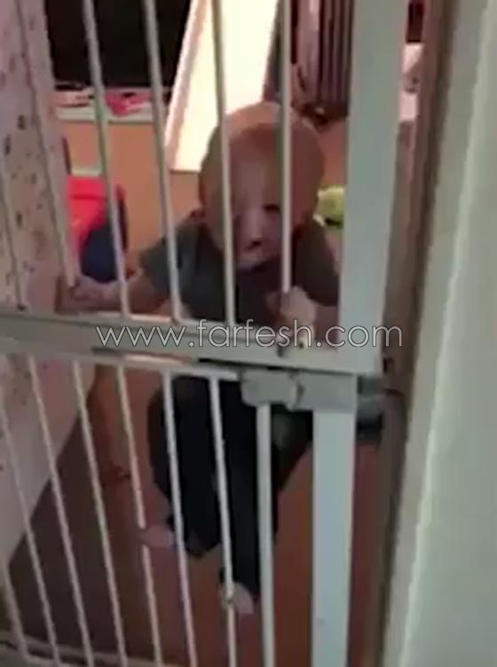 فيديو طريف.. طفل شقي يبدي مهارة غير عادية في تسلق بوابة صورة رقم 1