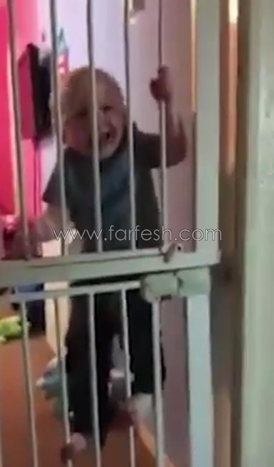 فيديو طريف.. طفل شقي يبدي مهارة غير عادية في تسلق بوابة صورة رقم 2