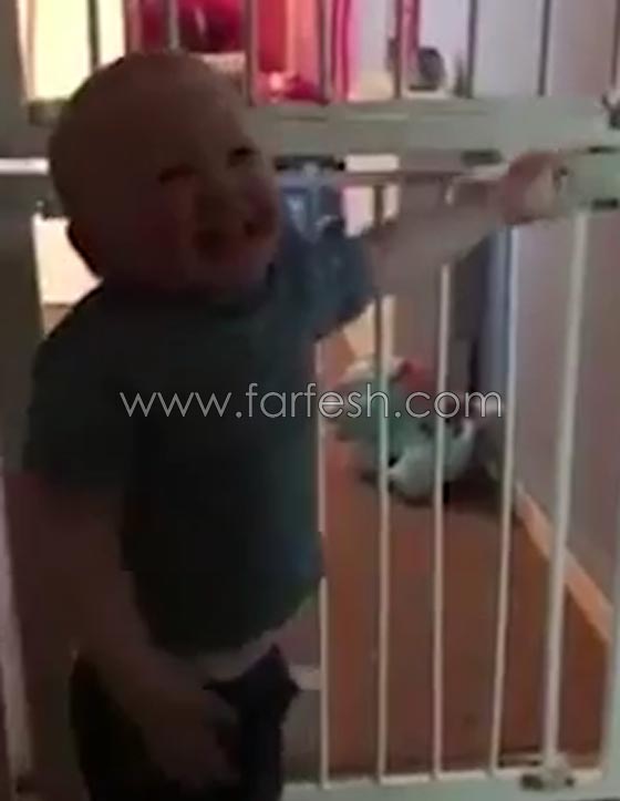 فيديو طريف.. طفل شقي يبدي مهارة غير عادية في تسلق بوابة صورة رقم 6