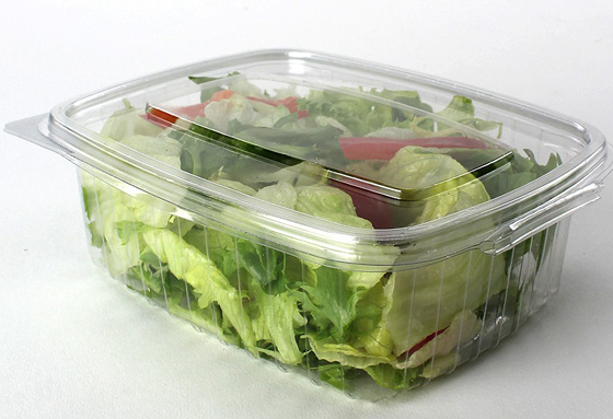 اطعمة يحظر تخزينها في علب بلاستيكية بسبب البكتيريا صورة رقم 3