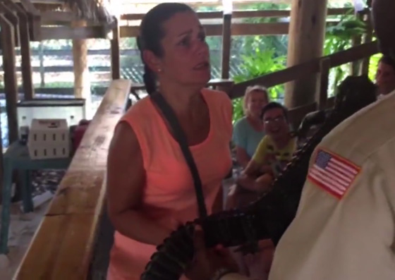 فيديو طريف.. امرأة تصاب بحالة ذعر شديد بسبب تمساح صغير صورة رقم 1