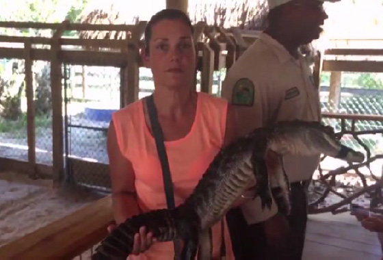 فيديو طريف.. امرأة تصاب بحالة ذعر شديد بسبب تمساح صغير صورة رقم 4