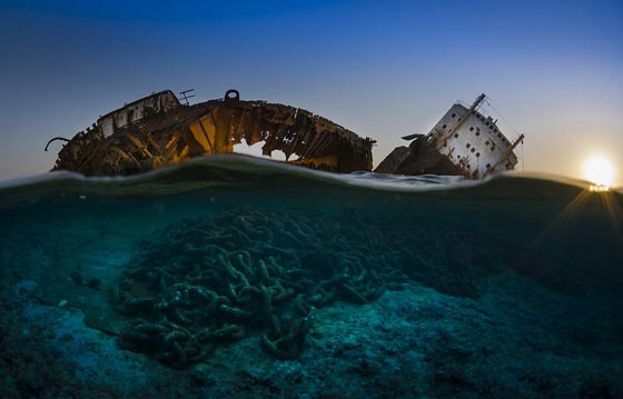  صور مذهلة من جوائز التصوير تحت الماء بينها مضيق تيران في مصر صورة رقم 1