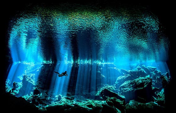  صور مذهلة من جوائز التصوير تحت الماء بينها مضيق تيران في مصر صورة رقم 3