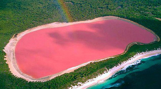 فيديو مذهل.. الطحالب تحول لون بحيرة استرالية الى الوردي صورة رقم 1