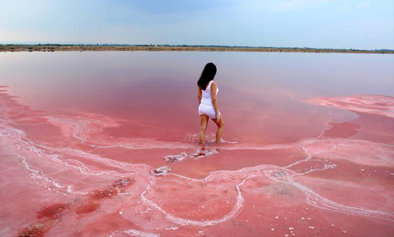 فيديو مذهل.. الطحالب تحول لون بحيرة استرالية الى الوردي صورة رقم 6