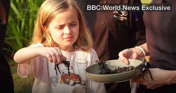 انجلينا جولي تطبخ الحشرات والعناكب وتأكلها مع ابنائها! فيديو وصور صورة رقم 2