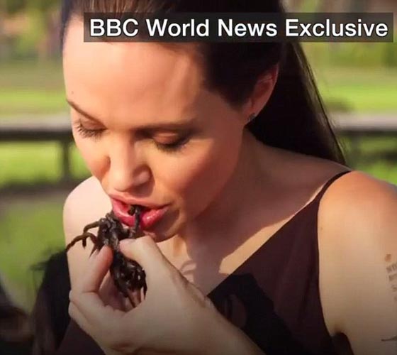 انجلينا جولي تطبخ الحشرات والعناكب وتأكلها مع ابنائها! فيديو وصور صورة رقم 1
