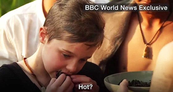انجلينا جولي تطبخ الحشرات والعناكب وتأكلها مع ابنائها! فيديو وصور صورة رقم 4