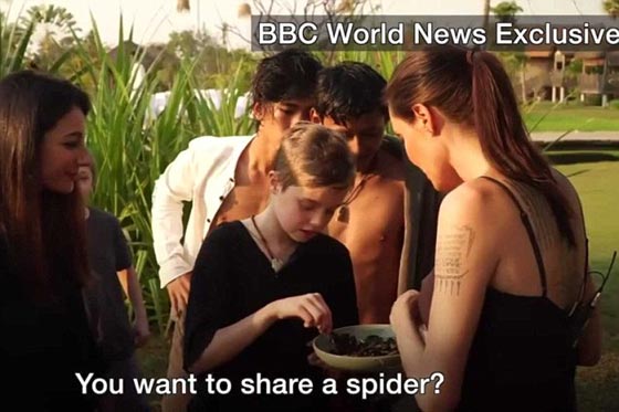 انجلينا جولي تطبخ الحشرات والعناكب وتأكلها مع ابنائها! فيديو وصور صورة رقم 3
