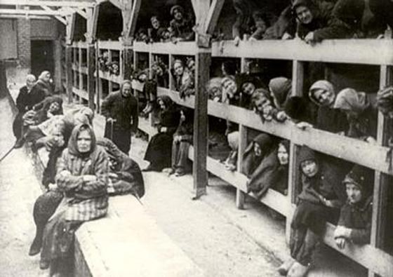 رسائل من داخل معسكرات الابادة النازية مكتوبة ببول النساء الاسيرات صورة رقم 6