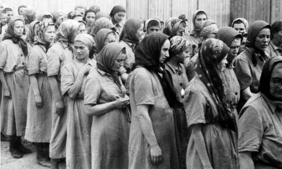 رسائل من داخل معسكرات الابادة النازية مكتوبة ببول النساء الاسيرات صورة رقم 5