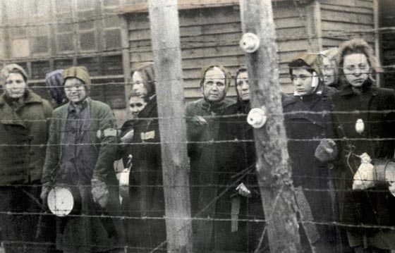 رسائل من داخل معسكرات الابادة النازية مكتوبة ببول النساء الاسيرات صورة رقم 7