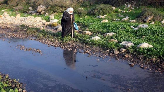  اسرائيل تسمم الفلسطينيين باستعمال مبيدات سامة شديدة الخطورة! صورة رقم 2