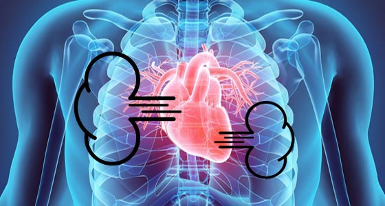 علماء يكتشفون ان قلب الانسان قادر على شم الروائح! صورة رقم 1